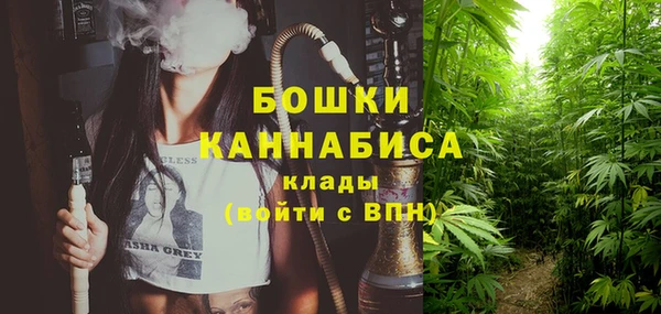 прущий лед Нея