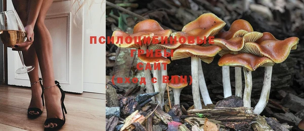 герыч Наволоки