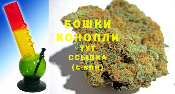 ГАЛЛЮЦИНОГЕННЫЕ ГРИБЫ Надым