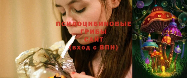 ГАЛЛЮЦИНОГЕННЫЕ ГРИБЫ Надым