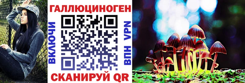 Купить где Котовск Псилоцибиновые грибы Magic Shrooms